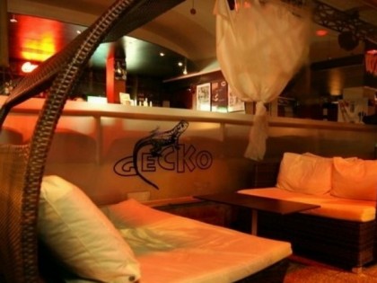 Foto: Gecko